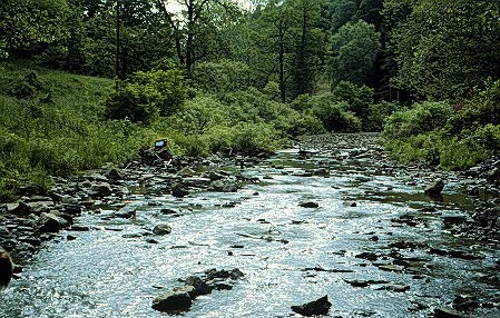 Image of tumbling water.