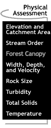 Image that says Forest Canopy.