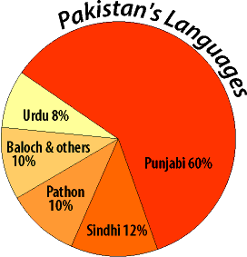 Languages Spoken In India Pie Chart