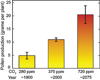 Pollen Counts Rise with Increasing Carbon Dioxide 