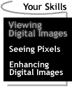 Image that says Your Skills: Viewing Digital Images.