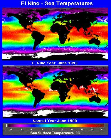 Image of a figure that compares sea surface temperatures across the world in June of two different years.  Please have someone assist you with this.