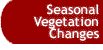 Button that takes you to the Seasonal Vegetation Changes page.