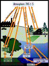 Image of a diagram which shows the carbon cycle.  This image links to a more detailed image.