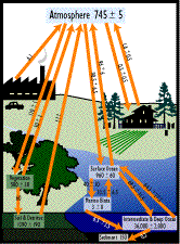 Image of a diagram which shows the carbon cycle with a mass of carbon.  This image links to a more detailed image.
