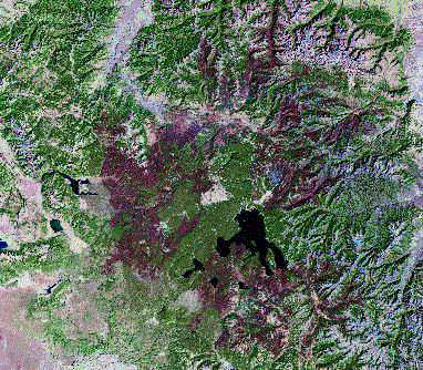 Image of a landsat image taken in September 1988 showing burned areas in the Yellowstone National forest.  Please have someone assist you with this.