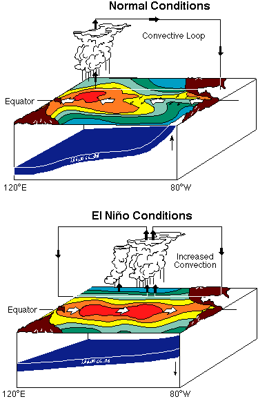 Image showing the difference between normal conditions and El Nino Conditions.  Please have someone assist you with this.