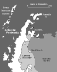 Image showing the seasonal sea ice around the Antarctic Peninsula.  This image links to a more detailed image.
