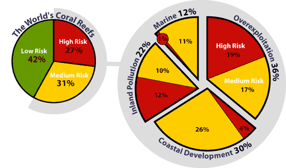 Image of two pie charts. Please have some assist you with this.