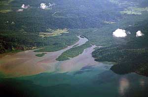 Image of an aerial photo of sedimentation on a delta in southern Costa Rica.