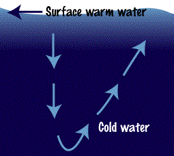 Image of a diagram which shows the depiction of upwelling.  Please have someone assist you with this.