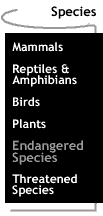 Image that says Endangered Species.