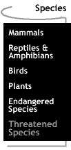 Image that says Threatened Species.