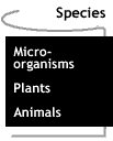 Image that says Species.