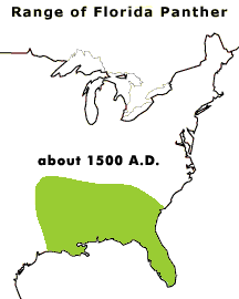 Image of a map showing the change in the range of the Florida Panther from 1500 A.D. to the present.