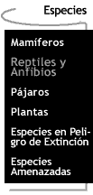 Botn que te lleva a la pgina de Especies.