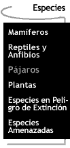 Botn que te lleva a la pgina de Especies.