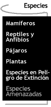 Botn que te lleva a la pgina de Especies.