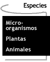 Imagen que te lleva a la página de las especies.