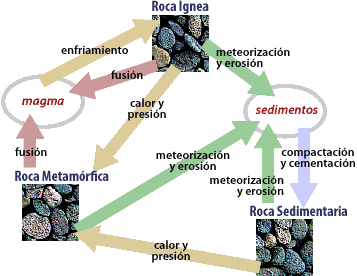 Imagen que muestra el ciclo de las rocas. Por favor busca a alguien que te asista con esto. Roca Metamórfica, fusión, magma, enfriamiento, Roca Ignea, calor y presión, meteorización y erosión, sedimentos, compactación y cementación, Roca Sedimentaria.