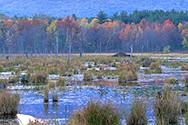 Imagen de un pantano cerca del Centro Sndwich en New Hampshire.