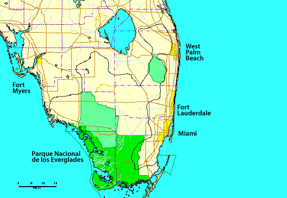 Image of a map of Florida.