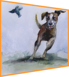 Image of a dog chasing a bird.