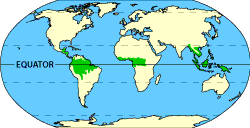 Image of a world map that displays where the tropical forests are located.  Please have someone assist you with this.