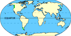 Image of a world map that displays where the temperate rain forests are located.  Please have someone assist you with this.