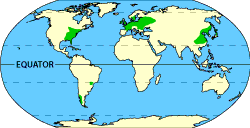 Image of a world map that displays where the temperate forests are located.  Please have someone assist you with this.