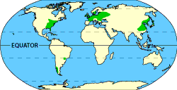 coniferous biomes k4