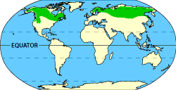 Image of a world map that displays where the boreal forests (taiga) are located.  Please have someone assist you with this.