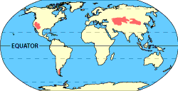 Image of a world map that displays where the cold deserts are located.  Please have someone assist you with this.