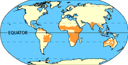 Image of a world map that displays where the tropical grasslands are located.  Please have someone assist you with this.