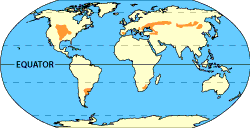 Image of a world map that displays where the temperate grasslands are located.  Please have someone assist you with this.