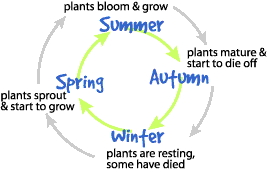 Image showing the cycle of seasons as it relates to the life cycle of plants.  Please have someone assist you with this.