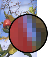 Image of a zoomed picture which shows the individual pixels.