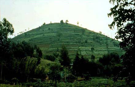 Image showing a steep slope in Rwanda which is cultivated.