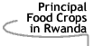 Image that says Principal Food Crops in Rwanda.