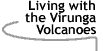Image that says Living with the Virunga Volcanoes.