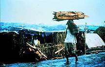 Image of man carrying wood from the rainforest.  This image links to a more detailed image.