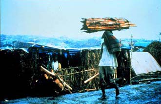 Image of man carrying wood from the rainforest.