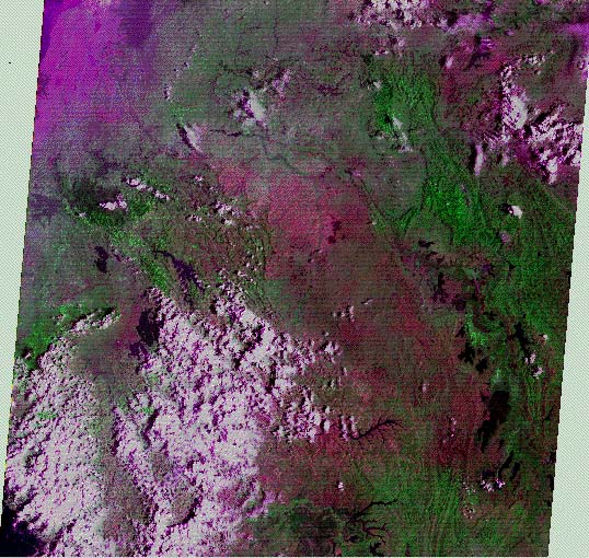 Image showing the eastern section of Rwanda, including the swamp/lake district on the Tanzania border.  In this band combination, vegetation shows up in a familiar green, but the savanna and bare ground show up in shades of purple.  Please have someone assist you with this.