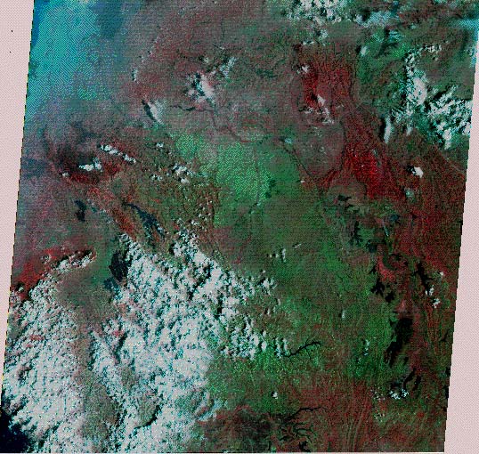 Image showing the eastern section of Rwanda, including the swamp/lake district on the Tanzania border. In this version, vegetation shows up in shades of red, while savanna and bare ground show up in shades of green.  Please have someone assist you with this.