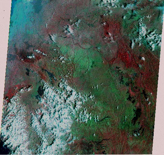 Image showing the eastern section of Rwanda, including the swamp/lake district on the Tanzania border. In this version, vegetation shows up in shades of red, while savanna and bare ground show up in shades of green.  Please have someone assist you with this.