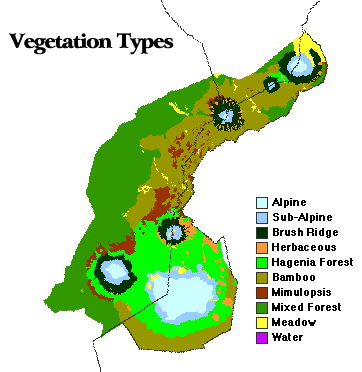 Image showing the distribution of the different vegetation types in the rainforest around the six dormant volcanoes.  Please have someone assist you with this.