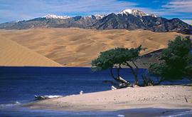 Image showing a tropical oasis that turns into a desert.