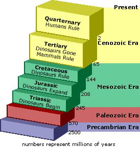 Image showing a portion of the Staircase of Time during the time when the dinosaurs lived.  Please have someone assist you with this.