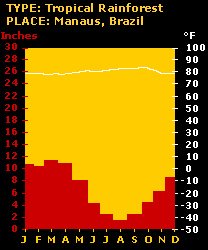Image of a climograph for Manaus, Brazil.  Please have someone assist you with this.