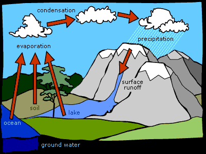 Image displaying the Water Cycle.  Please have someone assist you with this.